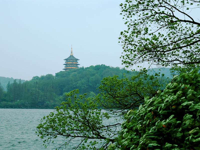 人文杭州，父母?jìng)儊砹?！河南礦山第十三屆孝文化感恩旅游節(jié)第三站